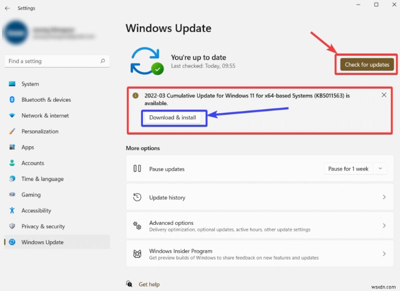 Windows 11에서 앱이 열리지 않을 때? 가장 효과적인 해결 방법 5가지