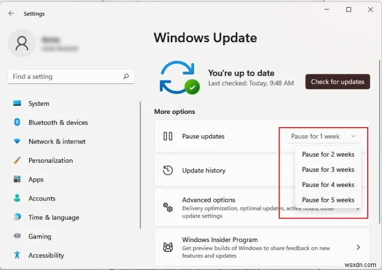 Windows 11에서 Windows 업데이트 중지하는 방법 총정리