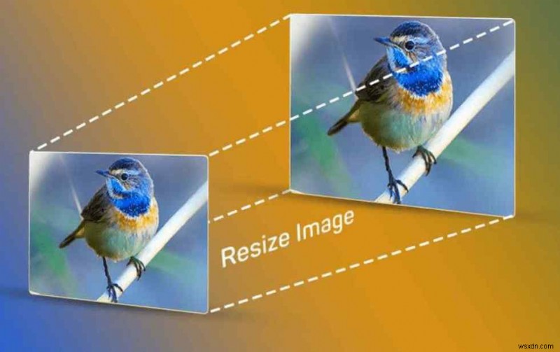 Windows 11에서 여러 이미지 크기를 한 번에 일괄 조정하는 방법
