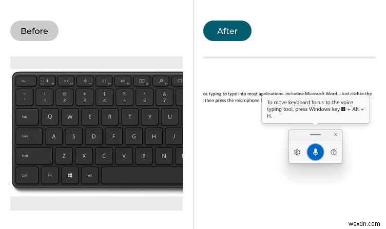 Windows 11 음성 입력이 작동하지 않을 때? 6가지 해결 방법