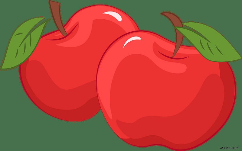 중복 이미지와 유사 이미지란? 차이점과 효율적인 삭제 방법 총정리