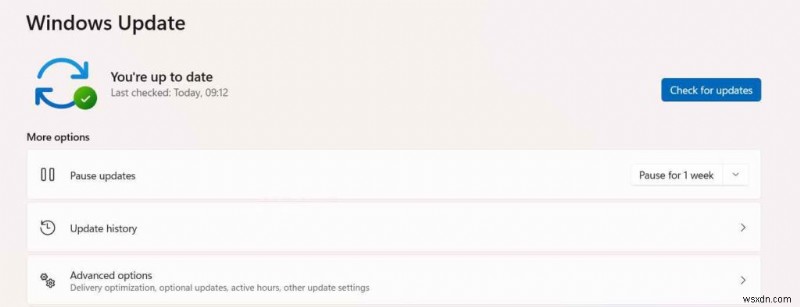 Windows 11에서 투명도 효과가 작동하지 않을 때 해결하는 6가지 방법