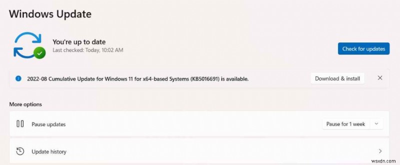 Windows 11에서 화면 해상도를 변경할 수 없나요? 확실한 해결 방법 총정리