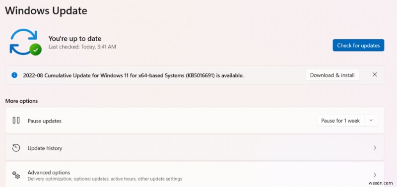 Windows 11에서 NVIDIA 그래픽 카드가 감지되지 않을 때 해결하는 방법