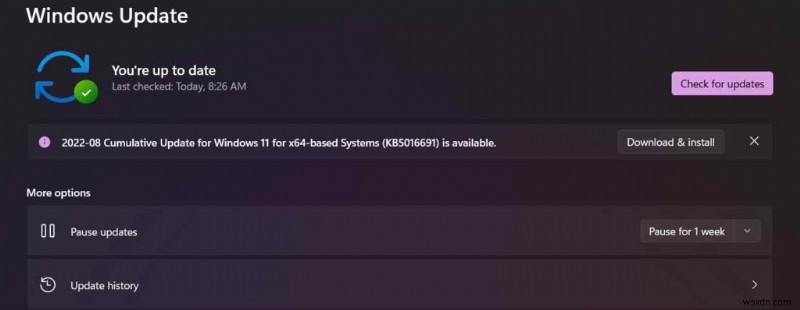 Windows 11에서 디스플레이포트(DP)가 작동하지 않을 때? 신호 없음 오류 해결 방법 총정리