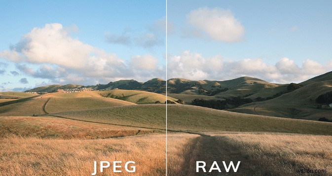 RAW vs JPEG: 어떤 이미지 포맷을 선택해야 할까? 핵심 차이점 완벽 정리