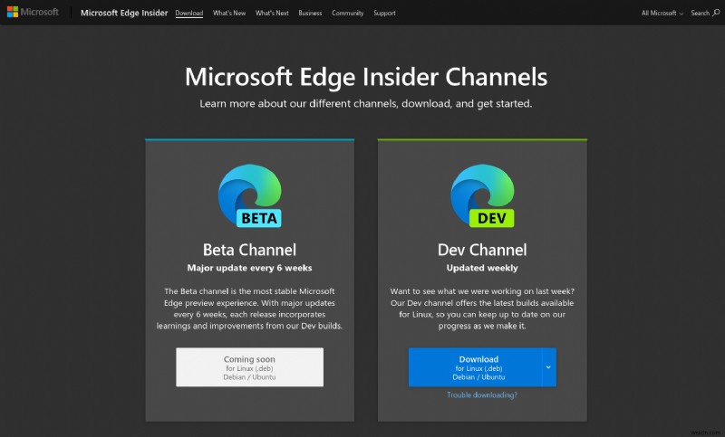 리눅스에 Microsoft Edge Dev 설치하는 방법