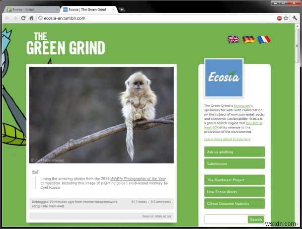 에코시아(Ecosia) – 검색만으로 열대우림을 지키는 친환경 검색 엔진