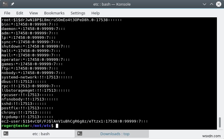 Amazon Linux 2 가상 머신 로그인 문제 해결: 비밀번호 수동 변경 완벽 가이드