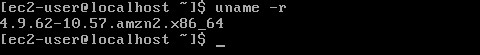 Amazon Linux 2 체험기 – AWS 자체 운영체제의 실체와 가능성