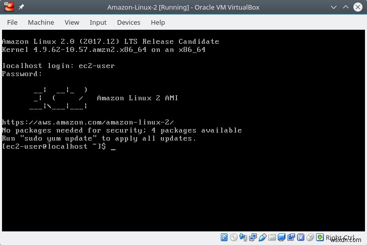 Amazon Linux 2 체험기 – AWS 자체 운영체제의 실체와 가능성