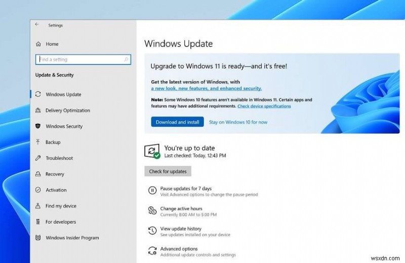 데이터 손실 없이 Windows 10에서 Windows 11로 무료 업그레이드하는 방법 총정리