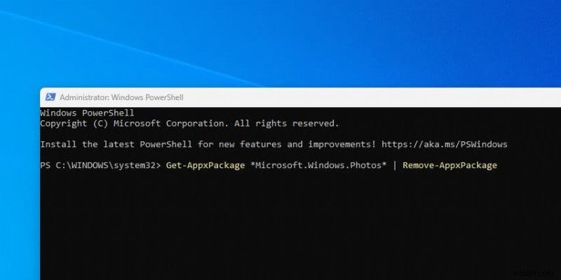 Windows 11에서 사진 앱이 열리지 않거나 작동하지 않을 때? 지금 바로 시도할 수 있는 해결 방법