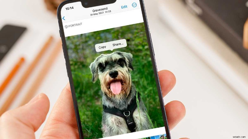 iOS 16의 신기한 사진 컷아웃 기능, 배경에서 피사체 추출 사용법