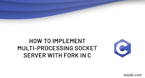 C 언어에서 fork()로 구현하는 다중 프로세스 소켓 서버 완벽 가이드