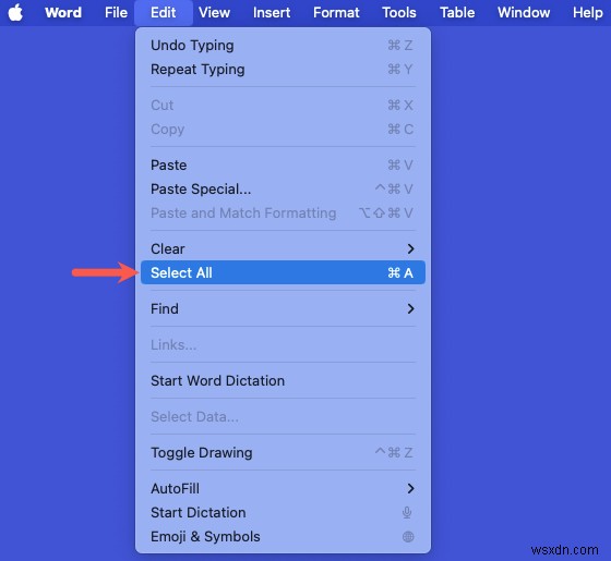 MS Word 텍스트 선택 완벽 가이드: 전체 선택부터 원하는 구간까지 한 번에