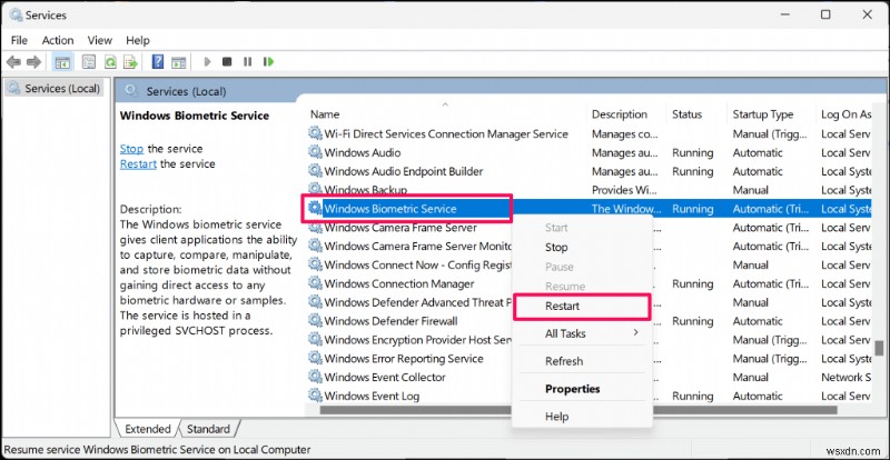  Windows Hello와 호환되는 카메라를 찾을 수 없습니다  오류 해결 방법 – 단계별 완벽 가이드