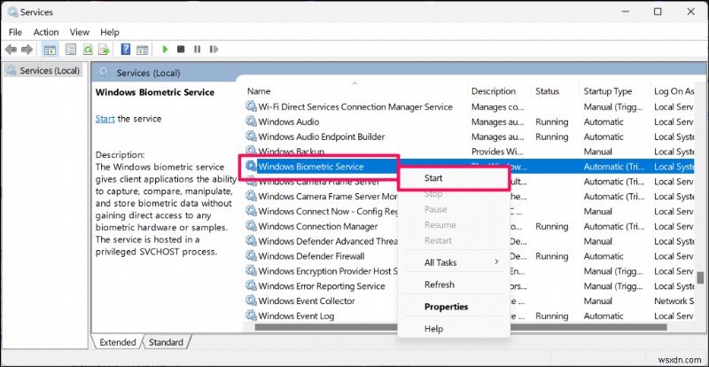  Windows Hello와 호환되는 카메라를 찾을 수 없습니다  오류 해결 방법 – 단계별 완벽 가이드