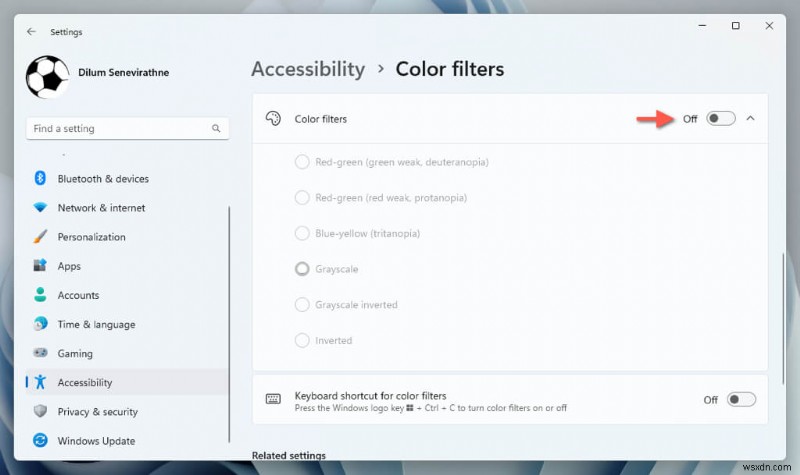 Windows 11 디스플레이 설정 초기화 방법: 초보자를 위한 단계별 가이드