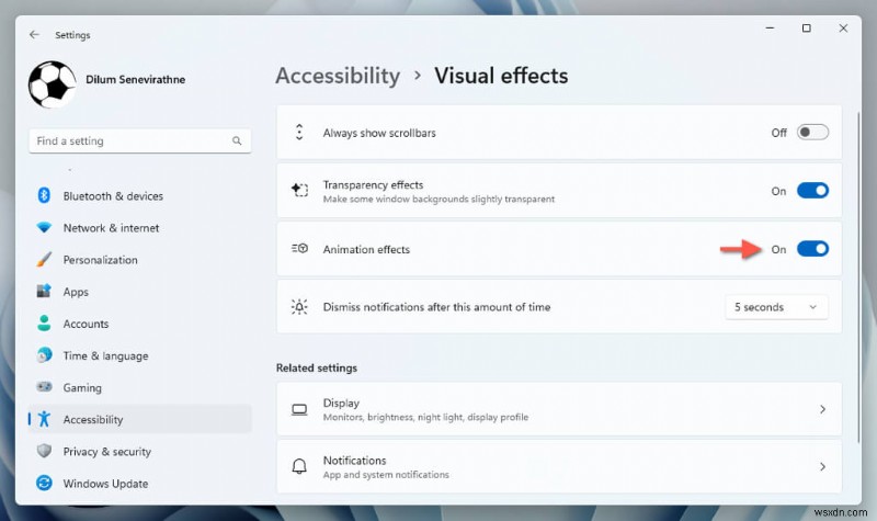 Windows 11 디스플레이 설정 초기화 방법: 초보자를 위한 단계별 가이드