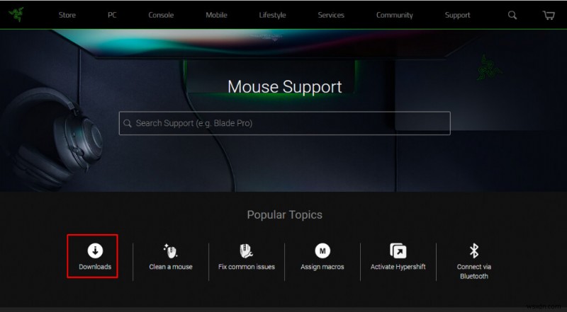 Razer 주변기기가 Synapse에서 인식되지 않을 때? 6가지 해결 방법