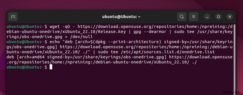 리눅스(Linux)에서 OneDrive 접근하기: 단계별 완벽 가이드