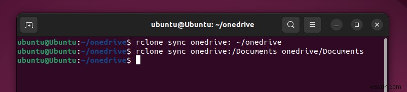 리눅스(Linux)에서 OneDrive 접근하기: 단계별 완벽 가이드