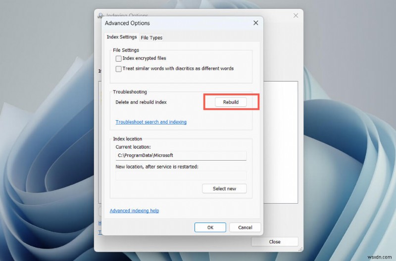 Windows 검색 인덱서 CPU 사용량 급증 해결법 – 즉각적인 수정부터 근본적인 솔루션까지