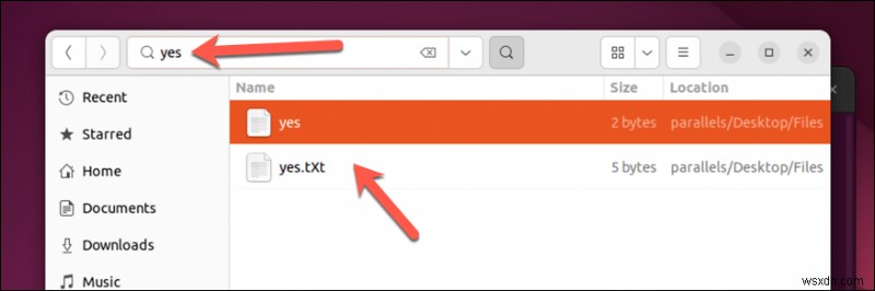 리눅스에서 파일 검색 완벽 가이드: find·locate 명령어부터 GUI 파일 관리자까지