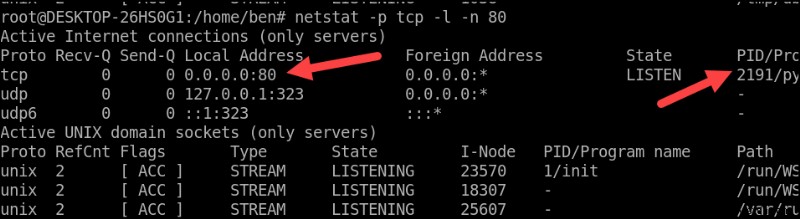 포트 번호로 리눅스 프로세스 종료하기: fuser, lsof, netstat 완벽 가이드