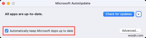 Windows와 Mac에서 Microsoft Office 업데이트하는 방법: 단계별 완벽 가이드