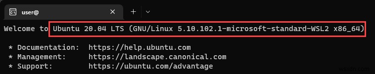 우분투(Ubuntu) 버전 확인 방법 완벽 가이드: 명령어부터 GUI까지