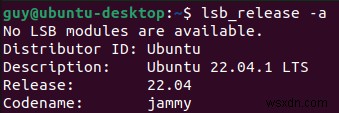 우분투(Ubuntu) 버전 확인 방법 완벽 가이드: 명령어부터 GUI까지
