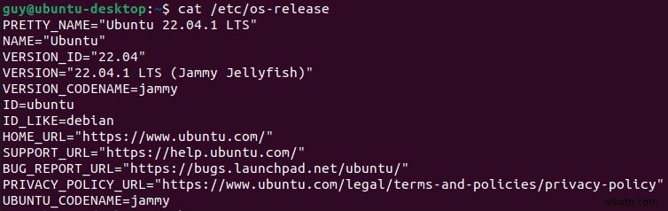 우분투(Ubuntu) 버전 확인 방법 완벽 가이드: 명령어부터 GUI까지