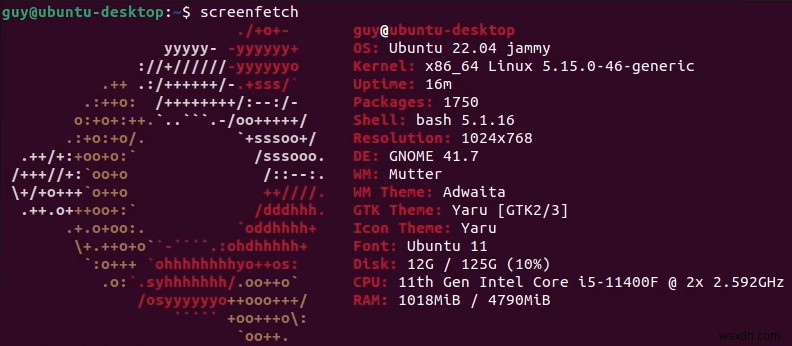 우분투(Ubuntu) 버전 확인 방법 완벽 가이드: 명령어부터 GUI까지