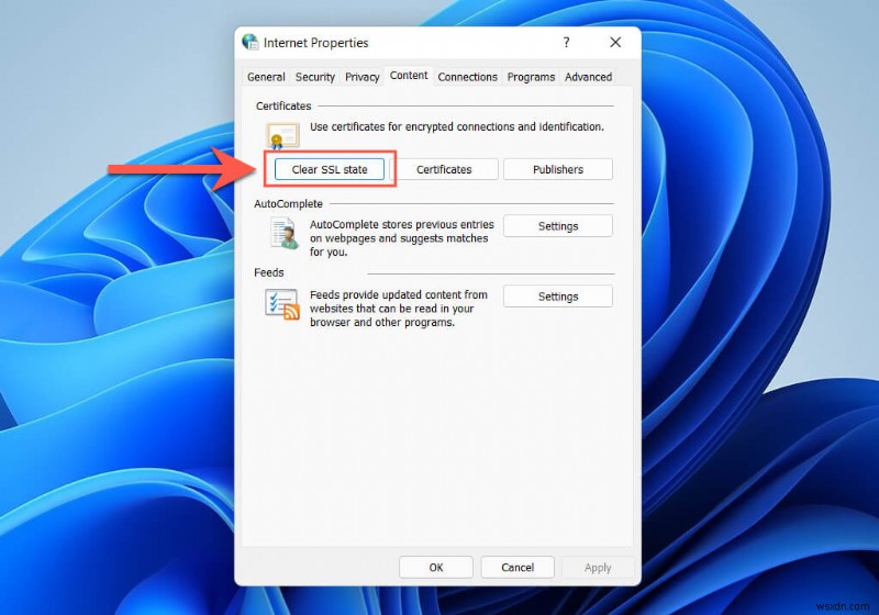 크롬 ERR_SSL_PROTOCOL_ERROR 오류 해결 방법: 단계별 완벽 가이드