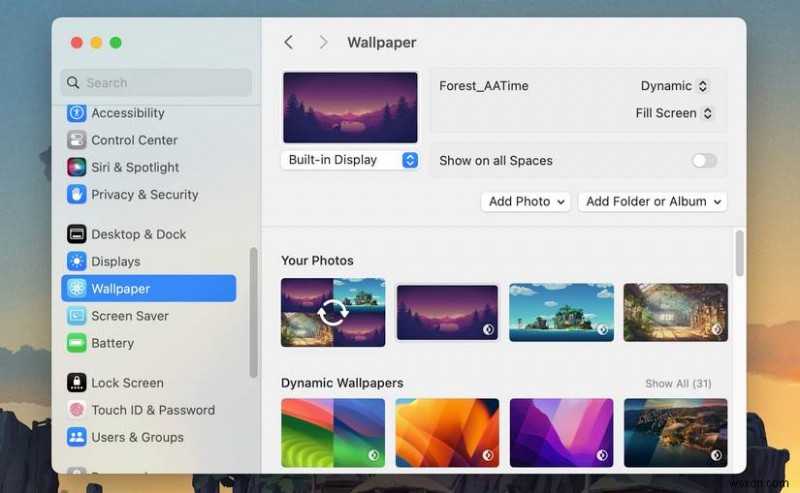 macOS Sonoma에서 가장 흔히 발생하는 7가지 문제와 검증된 해결 방법