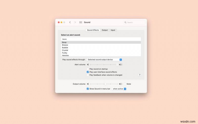 학생과 전문가를 위한 필수 MacBook 설정 6가지
