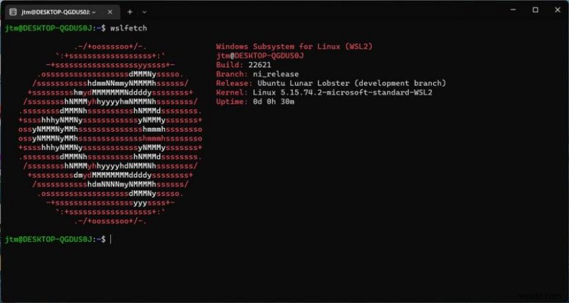 WSL용 Ubuntu 미리 보기로 Windows에서 우분투 최신 데일리 빌드 실행하는 방법