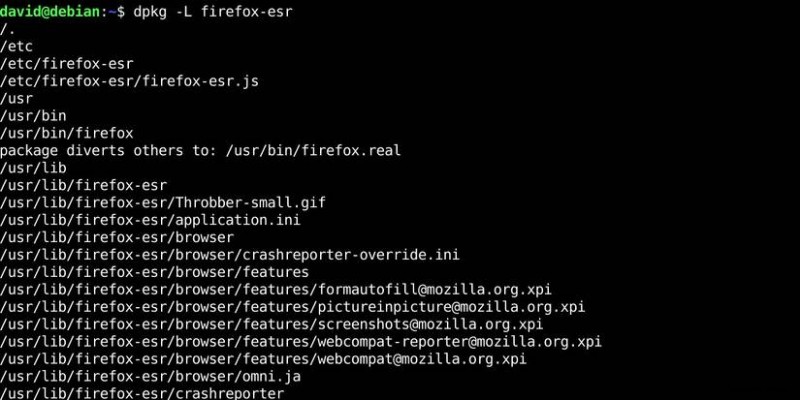 Debian/Ubuntu에서 apt로 설치한 패키지 위치 찾는 법: 초간단 가이드