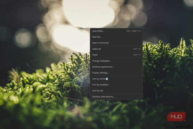 Roine Bertelson이 주목하는 차세대 Linux 배포판, AerynOS 완벽 분석