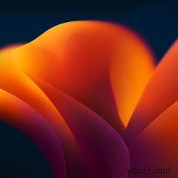 iOS 16·macOS 13 Ventura 정식 배경화면 무료 다운로드 (라이트·다크 모드)