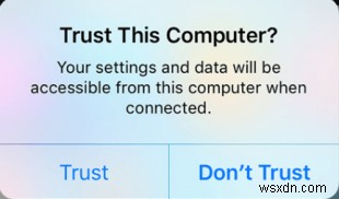 Windows 10/11 iTunes에서 iPad가 인식되지 않을 때 해결하는 8가지 확실한 방법