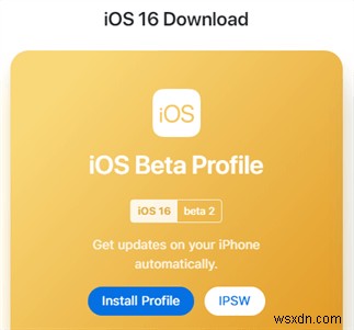 아이폰에 iOS 16/17/18 베타가 안 떠요? 빠른 해결 방법과 문제 해결 가이드