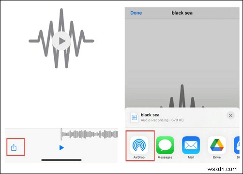 iPhone 13 Pro로 사용자 지정 벨소리 옮기기 – 간편하고 무료이며 안전한 방법