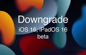 iPadOS 18 베타에서 iPadOS 17로 다운그레이드하는 단계별 완벽 가이드