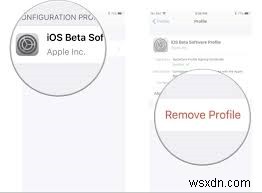 iPadOS 18 베타에서 iPadOS 17로 다운그레이드하는 단계별 완벽 가이드