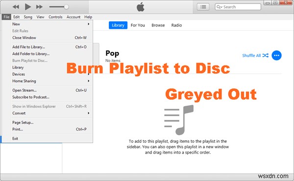 iTunes  재생 목록을 디스크에 굽기  옵션이 회색으로 비활성화될 때 원인과 해결 방법