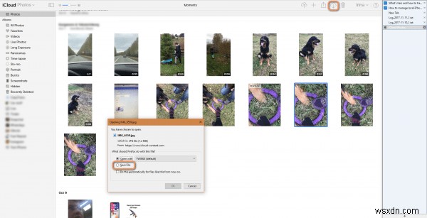 Windows에서 HEIC 완벽하게 다루기: 간단한 전송 방법 2가지
