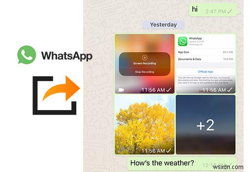 Syncios로 WhatsApp 사진·동영상 한 번에 내보내기 — 빠르고 안전하고 간편한 방법